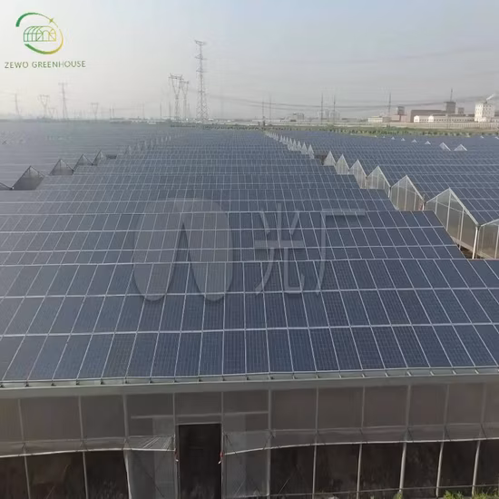 575W High Efficiency Tier 1 Topcon Half Cell 16bb Monocrystaline PV Solar Module Panel with 182mm Cells
